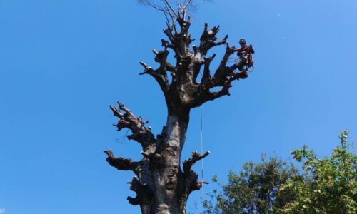LINE_ALBUM_中原実業　山鹿市山鹿_230416_13